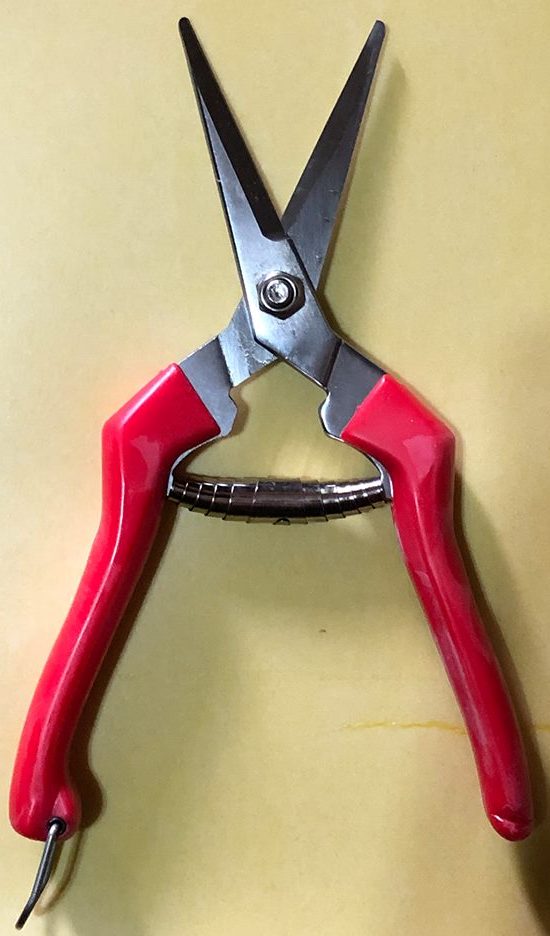Handy snips for root pruning, herb, fruit and vegetable harvesting