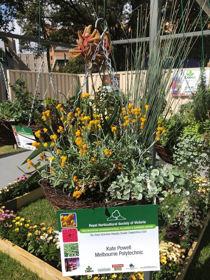 Royal Horticultural Society of Victoria hanging basket competition. A basket showcasing native plants by Melbourne Polytechnic student