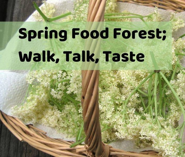 Spring Food Forest tour in Melbourne