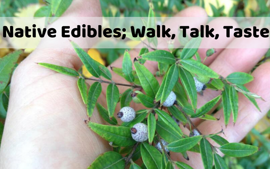 Native Edibles; Walk, Talk, Taste