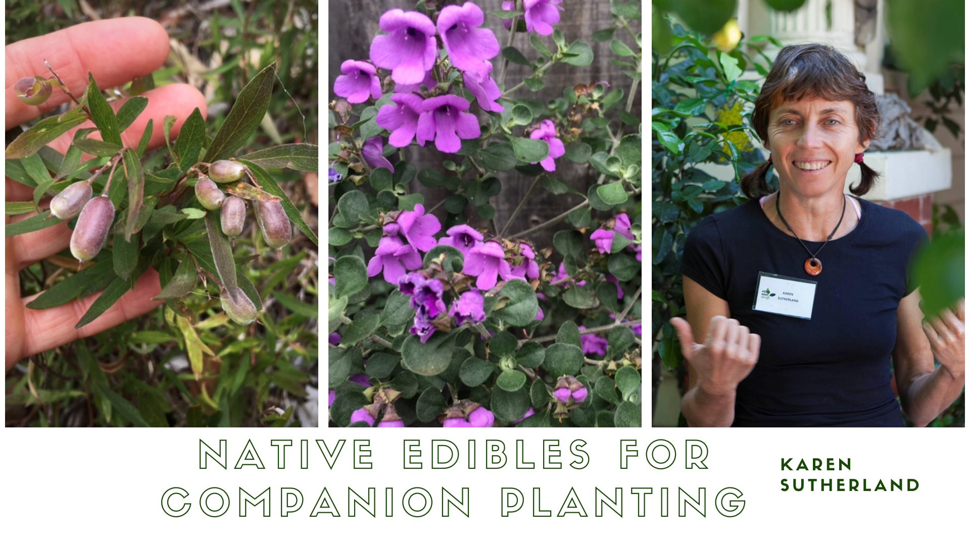 Native edible companion plant class