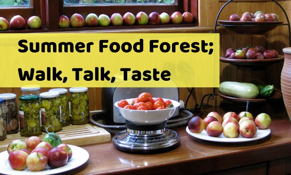 Summer Food Forest: Walk, Talk, Taste class Feb 2020 Melbourne