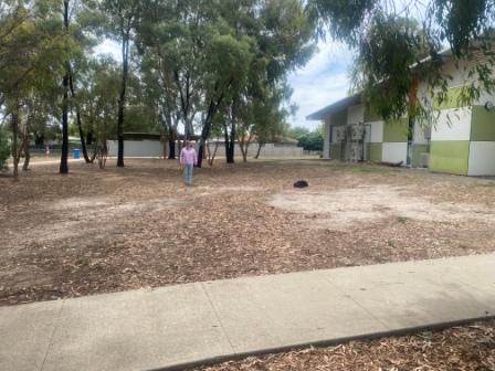 Mansfield secondary school site for bush food garden