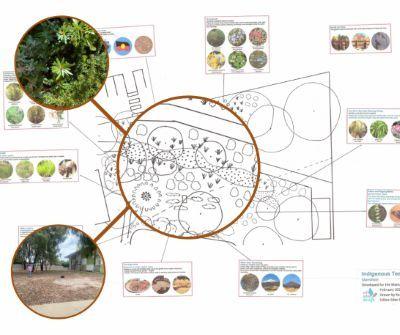 Landscape plan - Edible Eden Design indigenous teaching garden