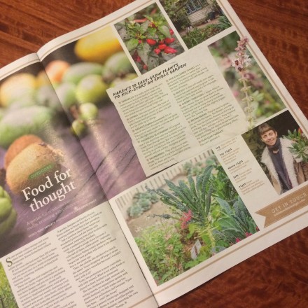 Gunyah garden in the Herald Sun's Home Magazine