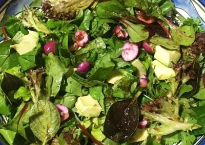 Avocado and Lilly Pilly Salad