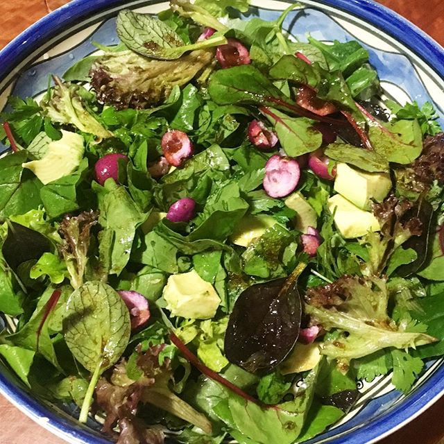 Avocado and Lilly Pilly Salad
