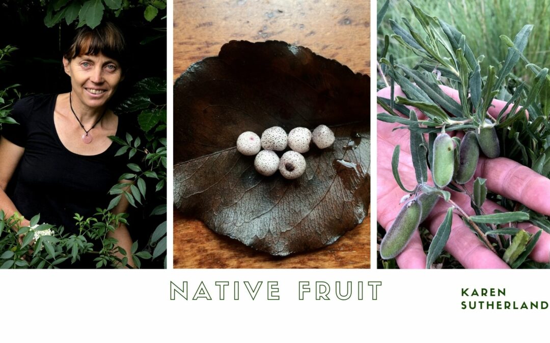 Native Fruit – Grow Your Own Heavenly Indigenous Fruit