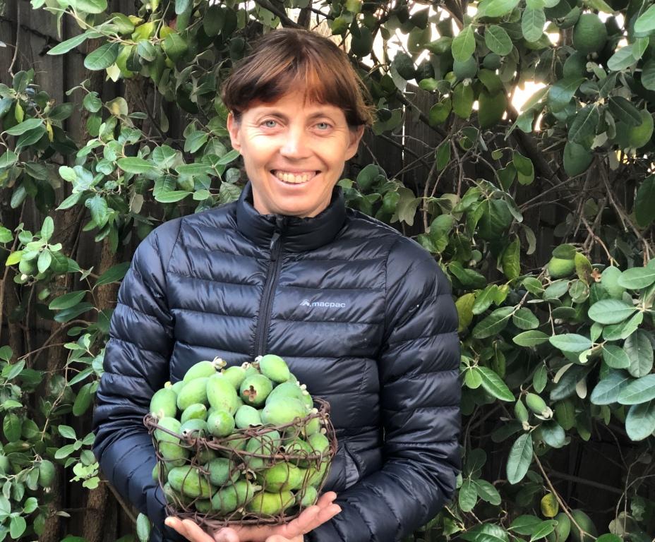 Karen Sutherland with a basket of ripe feijoas