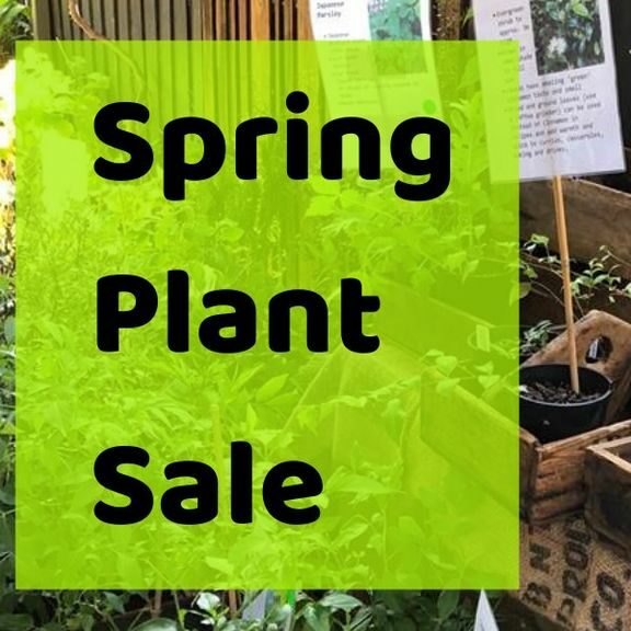 Spring Plant Sale 2021