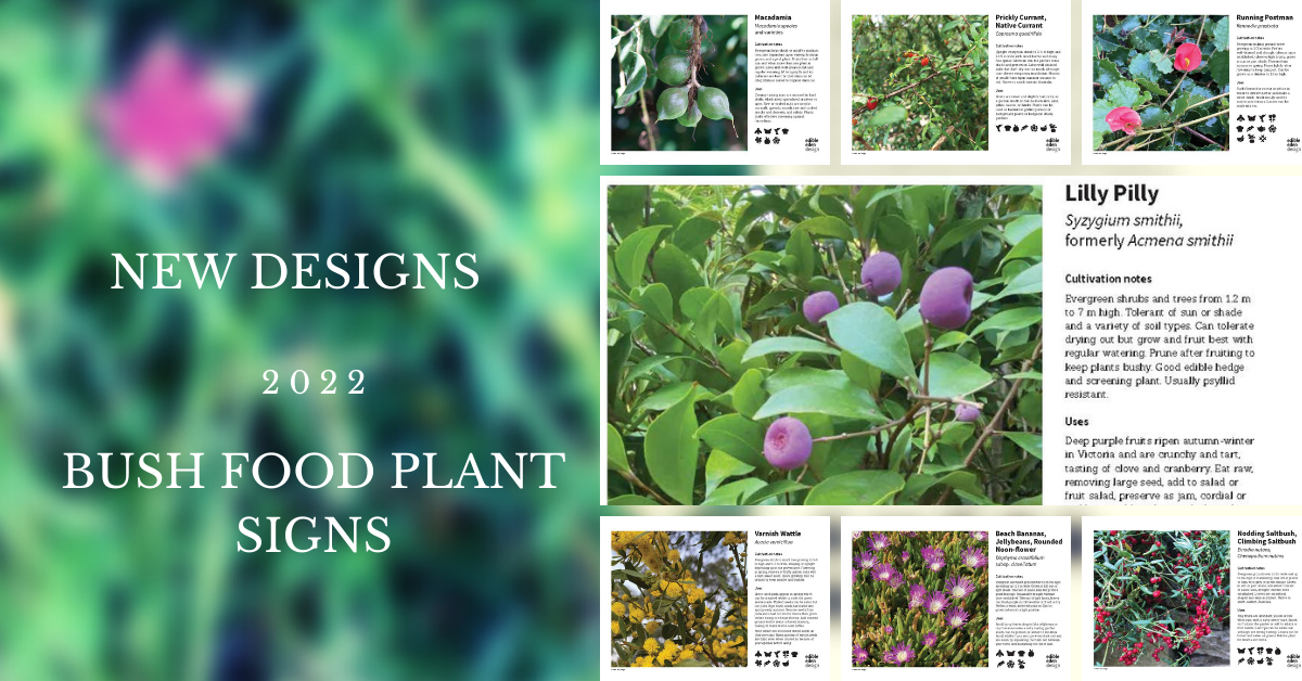 Bush tucker garden plant identification signs, new designs for 2022
