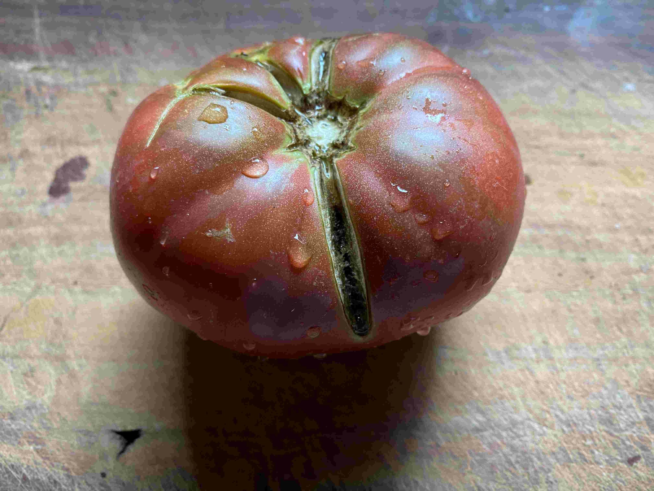 Wild Fred Australian tomato variety
