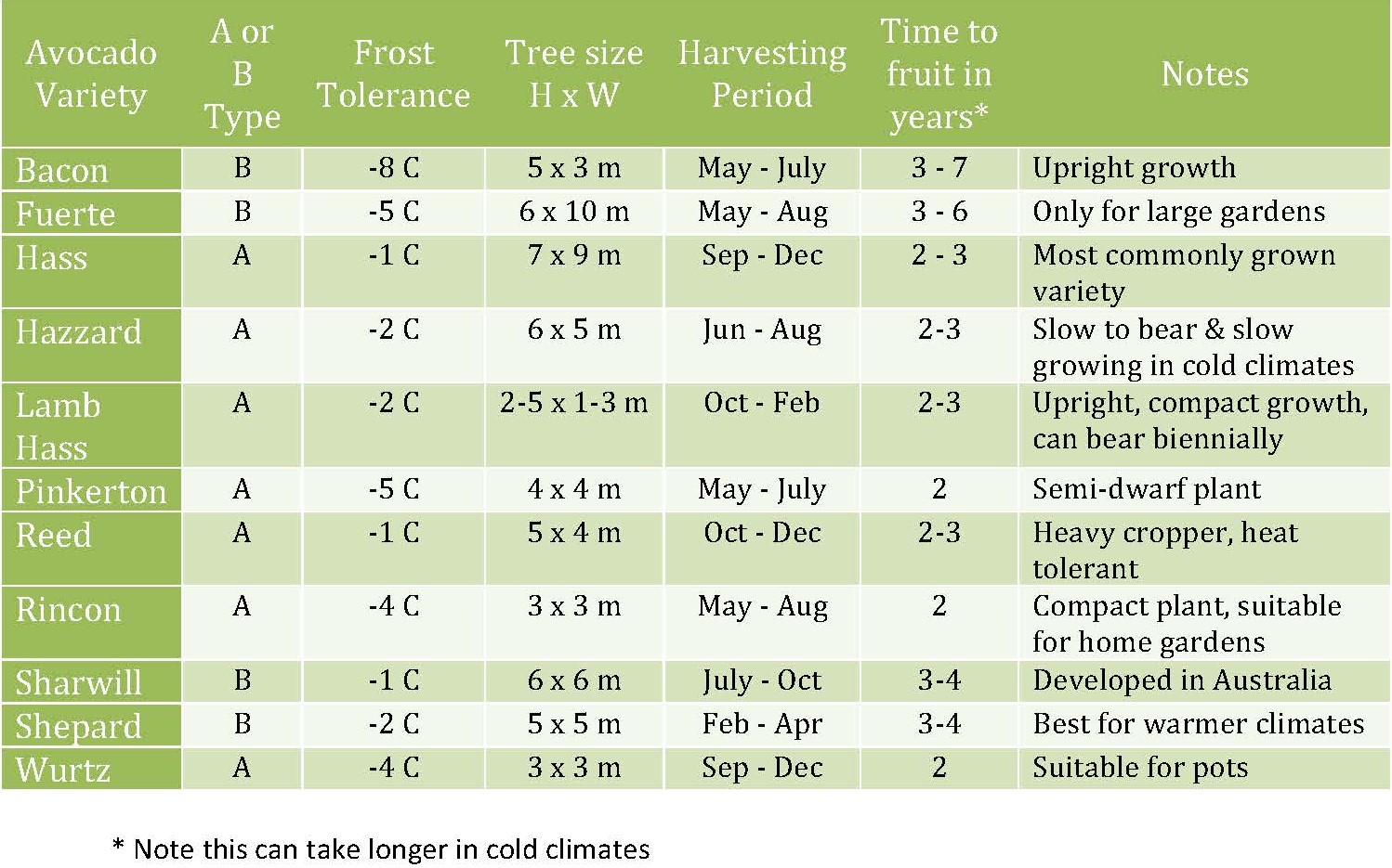 Avocado varieties to grow in Melbourne, a cool climate area