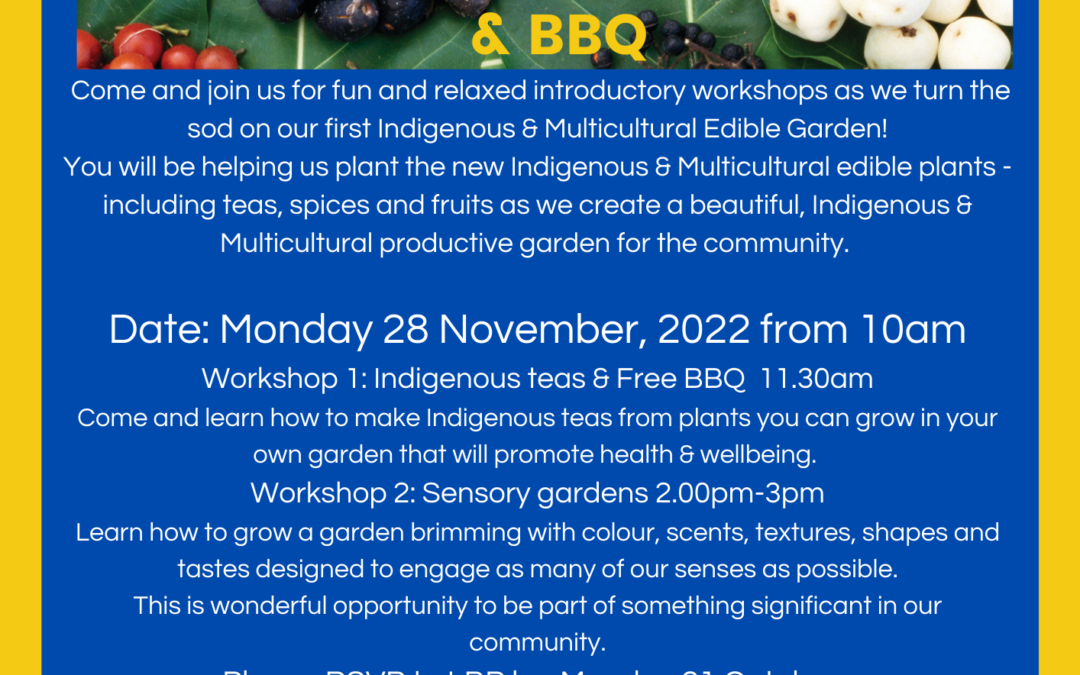 Indigenous & Multicultural Edible Garden Planting Day, Workshops & BBQ at LongBeach PLACE