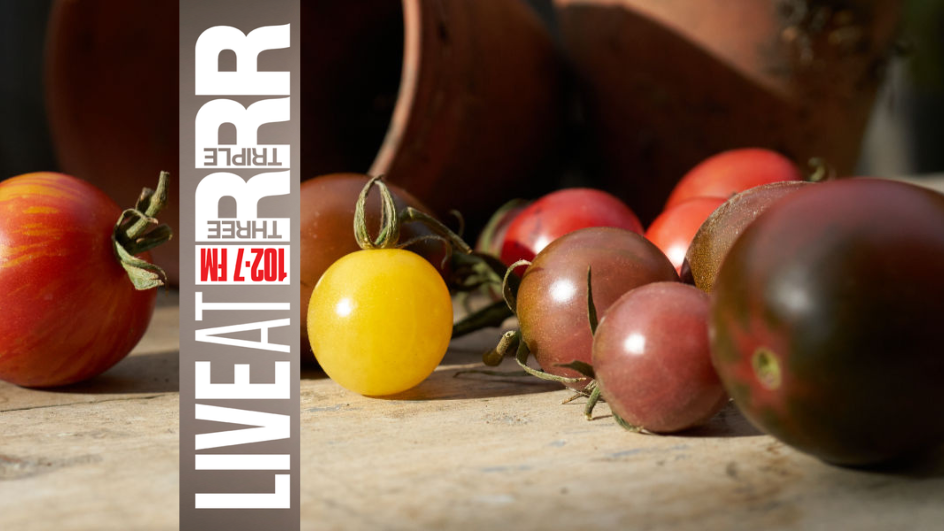3RRR radio talk on Cup Day Tomato Growing