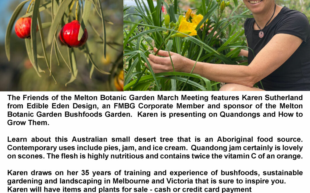 Quandongs and How to Grow Them – Karen Sutherland