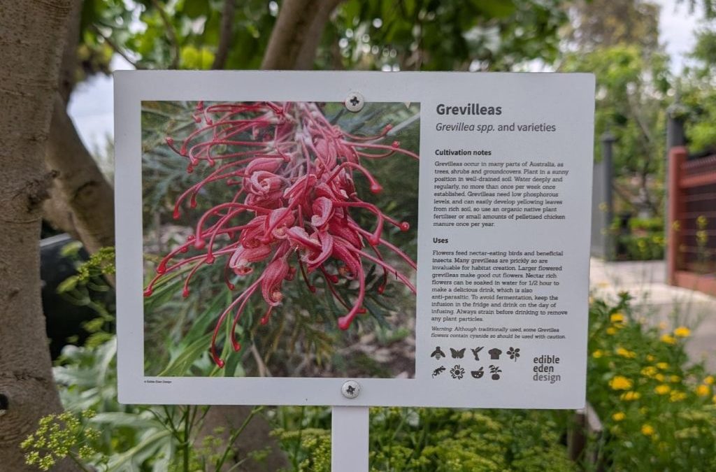 Metal sign metal stake grevillea plant identification